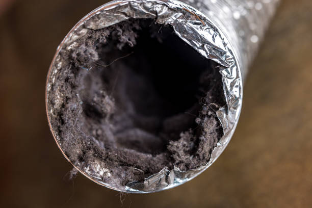 Best Duct Cleaning for Offices  in Temelec, CA