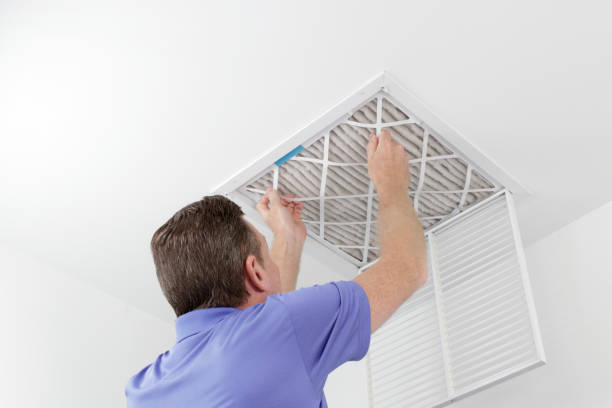 Best Local Air Duct Cleaning Services  in Temelec, CA